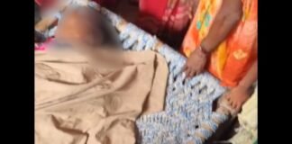 UP: मुरादाबाद में तेंदुओं का आतंक जारी, महिला की मौत