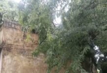 UP: चंदौली में तेज हवा-बारिश में मकान पर गिरा पेड़, छत क्षतिग्रस्त, परिवार ने प्रशासन से लगाई गुहार