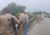 Amethi: अमेठी में युवक ने नैया नाला पुल से लगाई छलांग, जामो-जगदीशपुर पुलिस के साथ एसडीआरएफ तलाश में जुटी