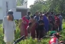 UP: बहराइच में सड़क किनारे मिला 38 वर्षीय अज्ञात व्यक्ति का शव, इलाके में मचा हड़कंप,जांच में जुटी पुलिस