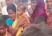 UP: बहराइच में तेज रफ्तार ईंट लदी ट्रैक्टर-ट्रॉली ने 7 साल की मासूम को कुचला, मौत से मचा कोहराम