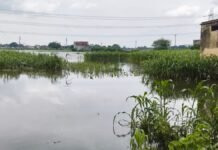 Mirzapur: साईफन तोड़े जाने से जल निकासी बाधित, कई गांवों में कृत्रिम बाढ़ का संकट, किसानों की कई सौ बीघा फसल बर्बाद