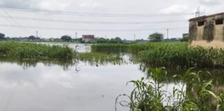 Mirzapur: साईफन तोड़े जाने से जल निकासी बाधित, कई गांवों में कृत्रिम बाढ़ का संकट, किसानों की कई सौ बीघा फसल बर्बाद