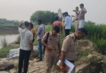 Raebareli: हरचंदपुर में चेक डैम में मिला अज्ञात युवक का शव, शिनाख्त में जुटी पुलिस
