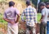 Sultanpur: सारंगपुर गांव में खेलते समय कुएं में गिरा पांच साल का मासूम, मौत