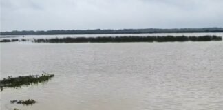 UP: चंदौली में बाढ़-जलभराव से हाहाकार, 50 बीघा धान की फसल डूबी, कच्चे मकान भी गिरे