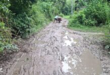 UP: 31 साल से बदहाल सड़क पर ग्रामीणों का आक्रोश, प्रधान पर विकास कार्यों की अनदेखी का आरोप