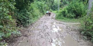 UP: 31 साल से बदहाल सड़क पर ग्रामीणों का आक्रोश, प्रधान पर विकास कार्यों की अनदेखी का आरोप
