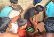 बहराइच में करंट की चपेट में आए 60 वर्षीय बुजुर्ग, परिजनों की सूझबूझ से बची जान