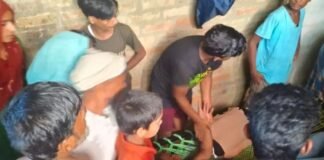 बहराइच में करंट की चपेट में आए 60 वर्षीय बुजुर्ग, परिजनों की सूझबूझ से बची जान