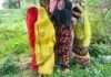 सोनभद्र: बभनी थाना क्षेत्र में संदिग्ध परिस्थितियों में युवती ने पेड़ से लटककर दी जान