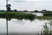 UP: अहरौरा बांध से पानी छोड़े जाने के बाद हसौली में बाढ़, सहकारी समिति का भवन जलमग्न