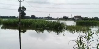 UP: अहरौरा बांध से पानी छोड़े जाने के बाद हसौली में बाढ़, सहकारी समिति का भवन जलमग्न