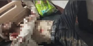 बहराइच में लकड़ी से लदी ट्रैक्टर-ट्रॉली ने बाइक को मारी टक्कर, युवक की मौत
