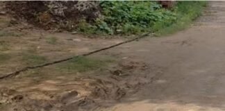 जसवंतनगर सड़क पर पड़ी 440 वोल्ट की लाइन, घंटों बाद भी बेखबर बिजली विभाग