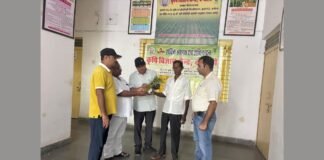 UP: धान की फसल में रोग और कीटों का बढ़ा खतरा, कृषि विज्ञान केंद्र ने जारी की एडवाइजरी