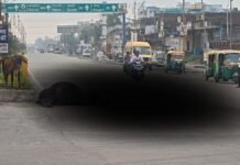 UP: पड़ाव चौराहे पर अंधेरा और आवारा पशुओं का ‘डबल अटैक’, कार से टकराकर पशु की मौत, बाल-बाल बचा चालक