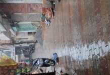 UP: उमस भरी गर्मी के बीच डेढ़ घंटे की बारिश से मिली राहत तापमान 33 डिग्री के आसपास, बारिश से मौसम हुआ सुहाना