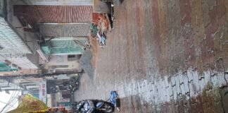 UP: उमस भरी गर्मी के बीच डेढ़ घंटे की बारिश से मिली राहत तापमान 33 डिग्री के आसपास, बारिश से मौसम हुआ सुहाना
