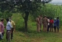 बिजनौर में 2 दिन से लापता पति-पत्नी के शव जंगल में मिले, पेड़ पर फंदे से लटका मिला पति