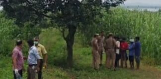 बिजनौर में 2 दिन से लापता पति-पत्नी के शव जंगल में मिले, पेड़ पर फंदे से लटका मिला पति