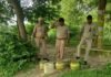UP: अवैध कच्ची शराब के खिलाफ आबकारी विभाग की कार्रवाई, 35 लीटर शराब बरामद