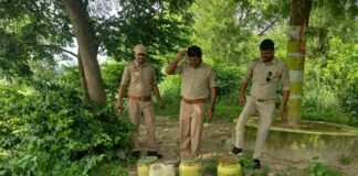UP: अवैध कच्ची शराब के खिलाफ आबकारी विभाग की कार्रवाई, 35 लीटर शराब बरामद