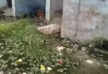UP: काशीराम कॉलोनी की बदहाल सफाई व्यवस्था, 35-40 लोग बुखार की चपेट में…