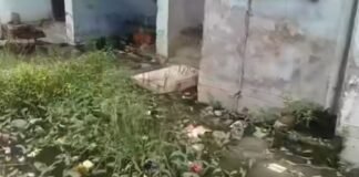 UP: काशीराम कॉलोनी की बदहाल सफाई व्यवस्था, 35-40 लोग बुखार की चपेट में…