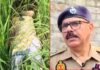 बलिया में मां-बेटी की नृशंस हत्या; घर में मां और खेत में मिला बेटी का शव