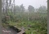 UP: दो घंटे की झमाझम बारिश से उमस भरी गर्मी से मिली राहत, 32 डिग्री तापमान के बीच बारिश से मौसम हुआ सुहाना