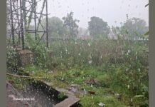 UP: दो घंटे की झमाझम बारिश से उमस भरी गर्मी से मिली राहत, 32 डिग्री तापमान के बीच बारिश से मौसम हुआ सुहाना