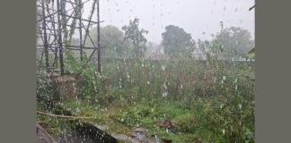 UP: दो घंटे की झमाझम बारिश से उमस भरी गर्मी से मिली राहत, 32 डिग्री तापमान के बीच बारिश से मौसम हुआ सुहाना