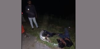 बांदा: सड़क पर अचानक आया मवेशी…बचाने की कोशिश में हुआ दर्दनाक हादसा, बुलेट सवार प्रभात की मौत