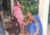 सुल्तानपुर में जंगली सूअर के हमले में किसान की मौत, कई घायल