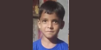 UP: बेहट में आवारा कुत्तों के झुंड का हमला, 7 वर्षीय मासूम की मौत