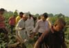 UP: तीन दिन की बारिश ने किसानों की कमर तोड़ी, 80 एकड़ केले की फसल बर्बाद, खेतों में पहुंचे विधायक अजय सिंह