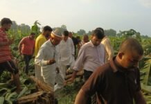 UP: तीन दिन की बारिश ने किसानों की कमर तोड़ी, 80 एकड़ केले की फसल बर्बाद, खेतों में पहुंचे विधायक अजय सिंह