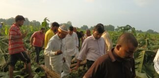 UP: तीन दिन की बारिश ने किसानों की कमर तोड़ी, 80 एकड़ केले की फसल बर्बाद, खेतों में पहुंचे विधायक अजय सिंह
