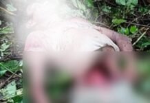 बहराइच में सोते किसान को घर से उठा ले गया जंगली जानवर, सुबह मिले खून के निशान और क्षत-विक्षत अवशेष
