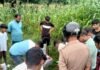 Jaunpur: जौनपुर में छत के रास्ते घर में घुसे चोर, लाखों के जेवरात और नकदी लेकर फरार