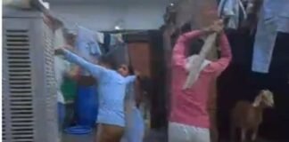 Muzaffarnagar में घरेलू विवाद ने लिया हिंसक रूप, दो महिलाओं से मारपीट और कपड़े फाड़ने का आरोप, वीडियो वायरल