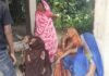 UP: सुल्तानपुर में जंगली सूअर के हमले में किसान की मौत, कई घायल