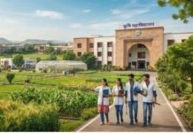 बिहार के औरंगाबाद में खुलेगा कृषि महाविद्यालय, हसपुरा के डिंडीर में 5 एकड़ जमीन चिह्नित