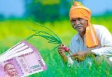 अरवल के किसानों को रबी फसलों के बीज पर मिलेगा 65% अनुदान, ऑनलाइन आवेदन शुरू