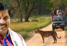 कान्हा एशिया का सबसे बड़ा नेशनल पार्क, वन्य प्राणियों के नैसर्गिंक जीवन निहारने एक बार कान्हा जरूर आएं : मुख्यमंत्री डॉ. यादव