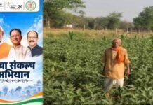 धान की पारंपरिक खेती से आगे बढ़कर फागूराम ने अपनाई ग्राफ्टेड बैंगन की खेती, मुनाफे में हुई 20 हजार रुपये की बढ़ोतरी