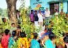 जमुई में औषधीय खेती से आत्मनिर्भर बनेंगी आदिवासी महिलाएं, 50 से अधिक को प्रशिक्षण