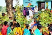 जमुई में औषधीय खेती से आत्मनिर्भर बनेंगी आदिवासी महिलाएं, 50 से अधिक को प्रशिक्षण