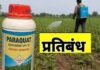 राज्य शासन ने पैराक्वेट डाइक्लोराइड के उपयोग पर लगाया प्रतिबन्ध